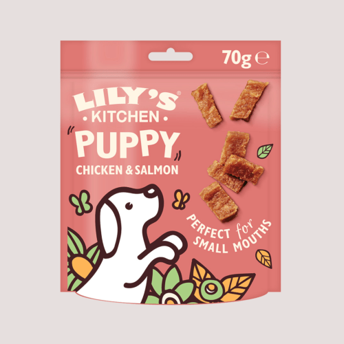 Lily's Kitchen Puppy Chicken & Salmon 70g