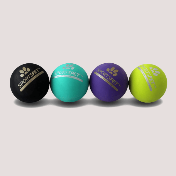 SportsPet Tough Bounce Ball Medium