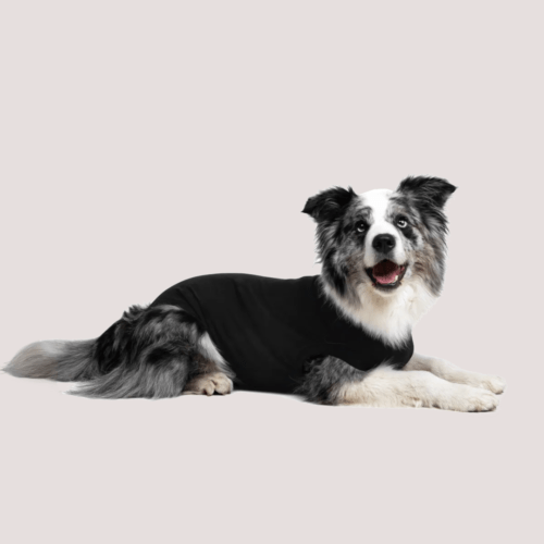 Suitical Recovery Suit For Dogs