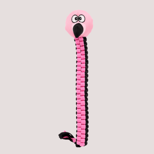Tyrol Jungle Flamingo