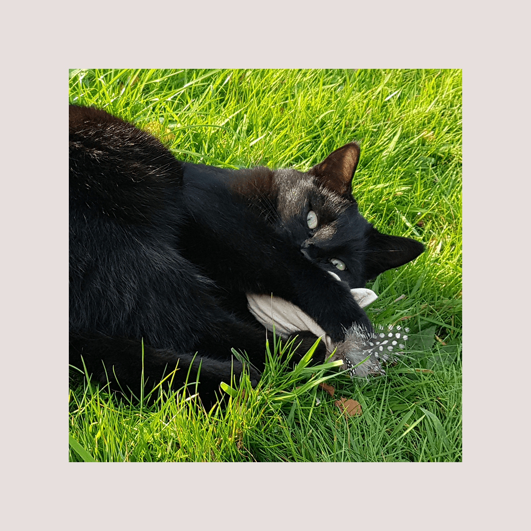 4Cats Nature Line Pyramid Catnip