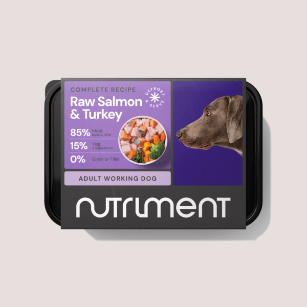 Nutriment Raw Complete Salmon & Turkey Formula