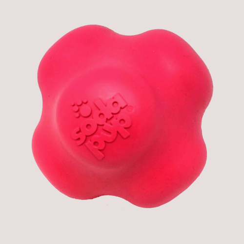 SodaPup Crazy Bounce Toy Red