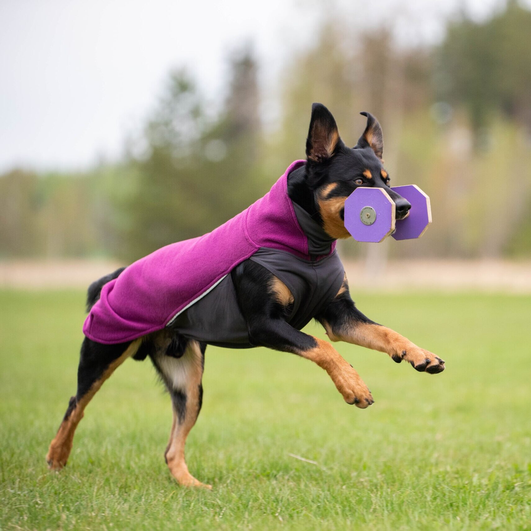 Pomppa Jumppa Fleece Coat - Image 3