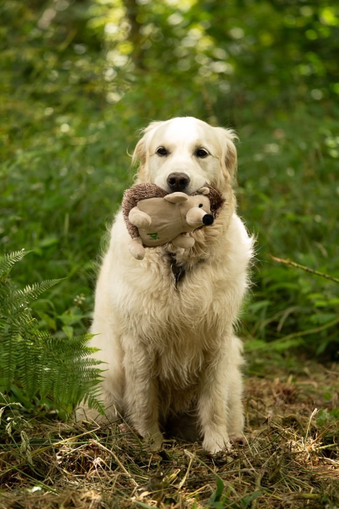 PetFace Heston Hedgehog Plush