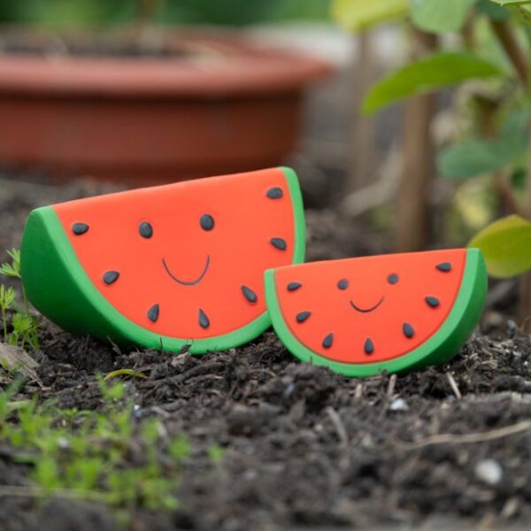PetFace Watermelon Latex