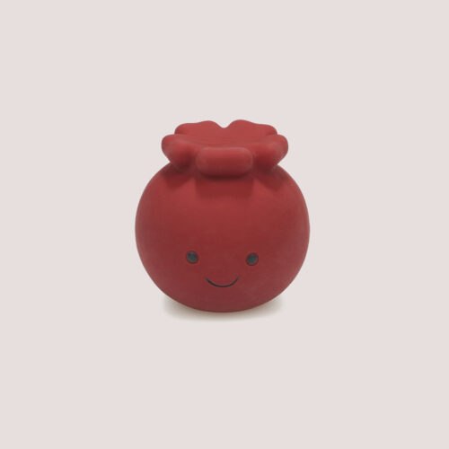 PetFace Carrie Cranberry Latex