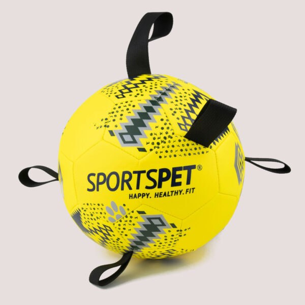 SportsPet Tab Football