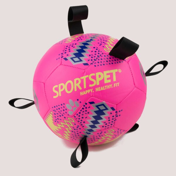 SportsPet Tab Football