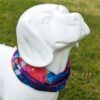 Whippa Snappa Insect Repellent Dog Bandana