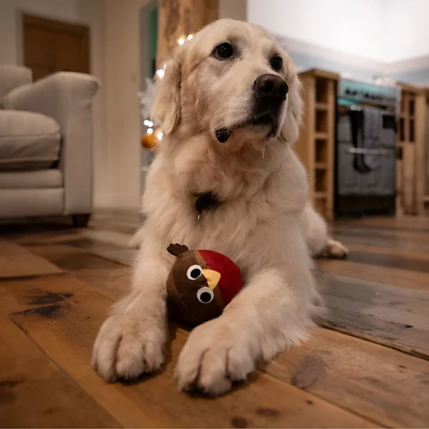 PetFace Ralf Robin Squeaker Plush