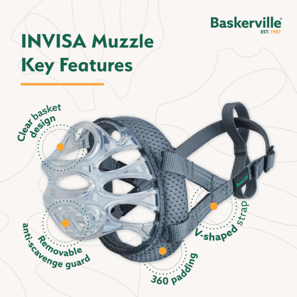 Company Of Animals Baskerville INVISA Dog Muzzle