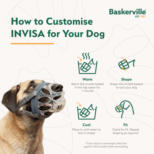 Company Of Animals Baskerville INVISA Dog Muzzle