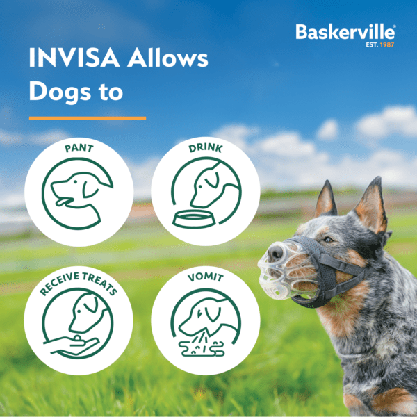 Company Of Animals Baskerville INVISA Dog Muzzle