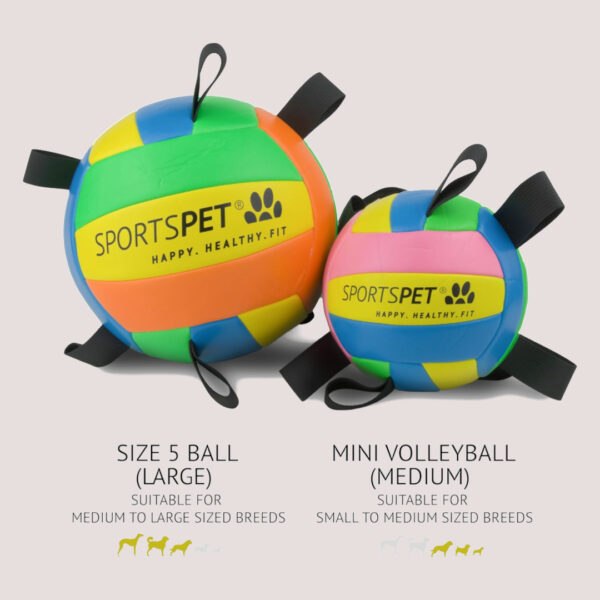 SportsPet Tab Volleyball