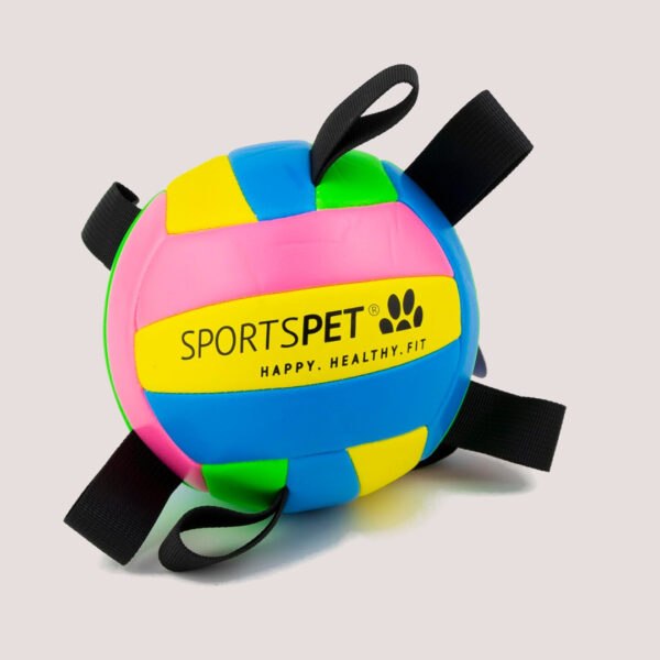 SportsPet Tab Volleyball