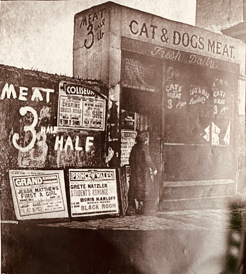 back and white image of old pet food store.