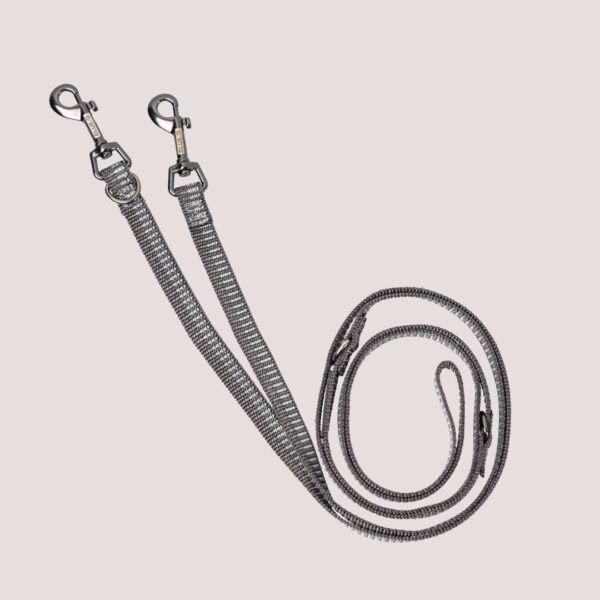 Blue-9 Reflective Multi-function Double End Lead