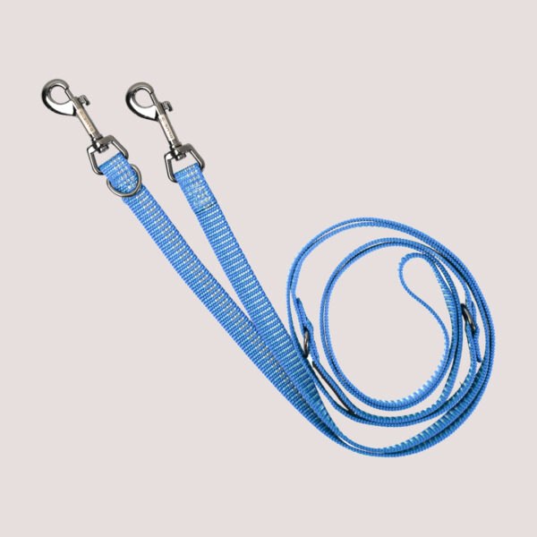 Blue-9 Reflective Multi-function Double End Lead