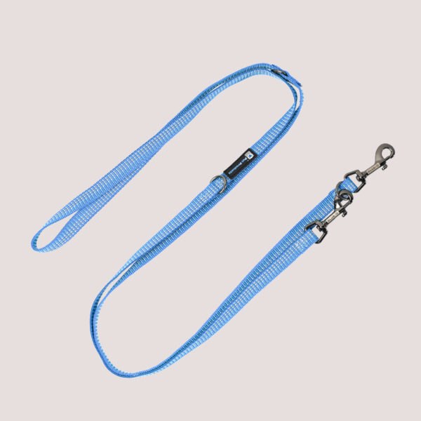 Blue-9 Reflective Multi-function Double End Lead