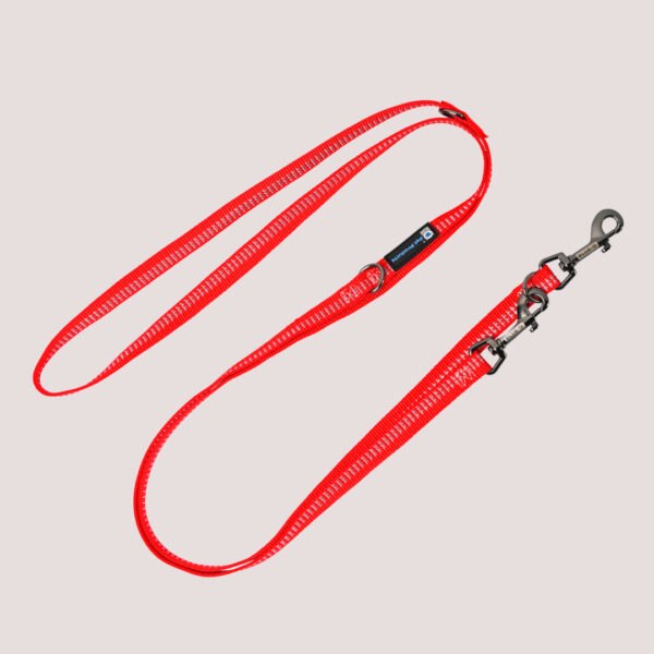 Blue-9 Reflective Multi-function Double End Lead