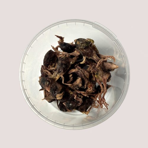 Freeze Dried Whole Quails