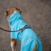 Pomppa Kuori Waterproof Dog Coat