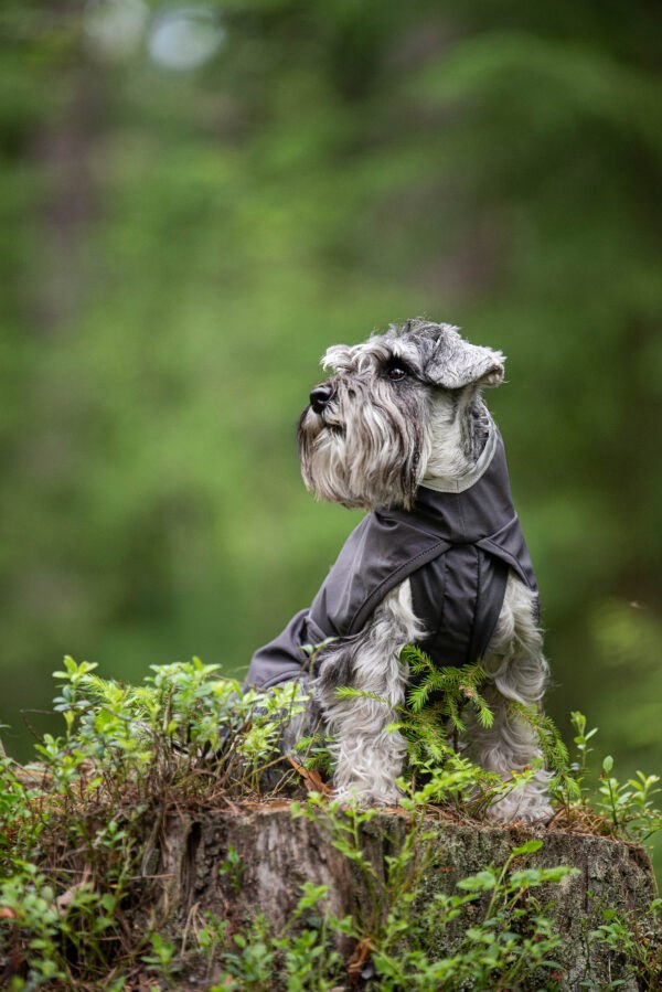 Pomppa Kuori Waterproof Dog Coat