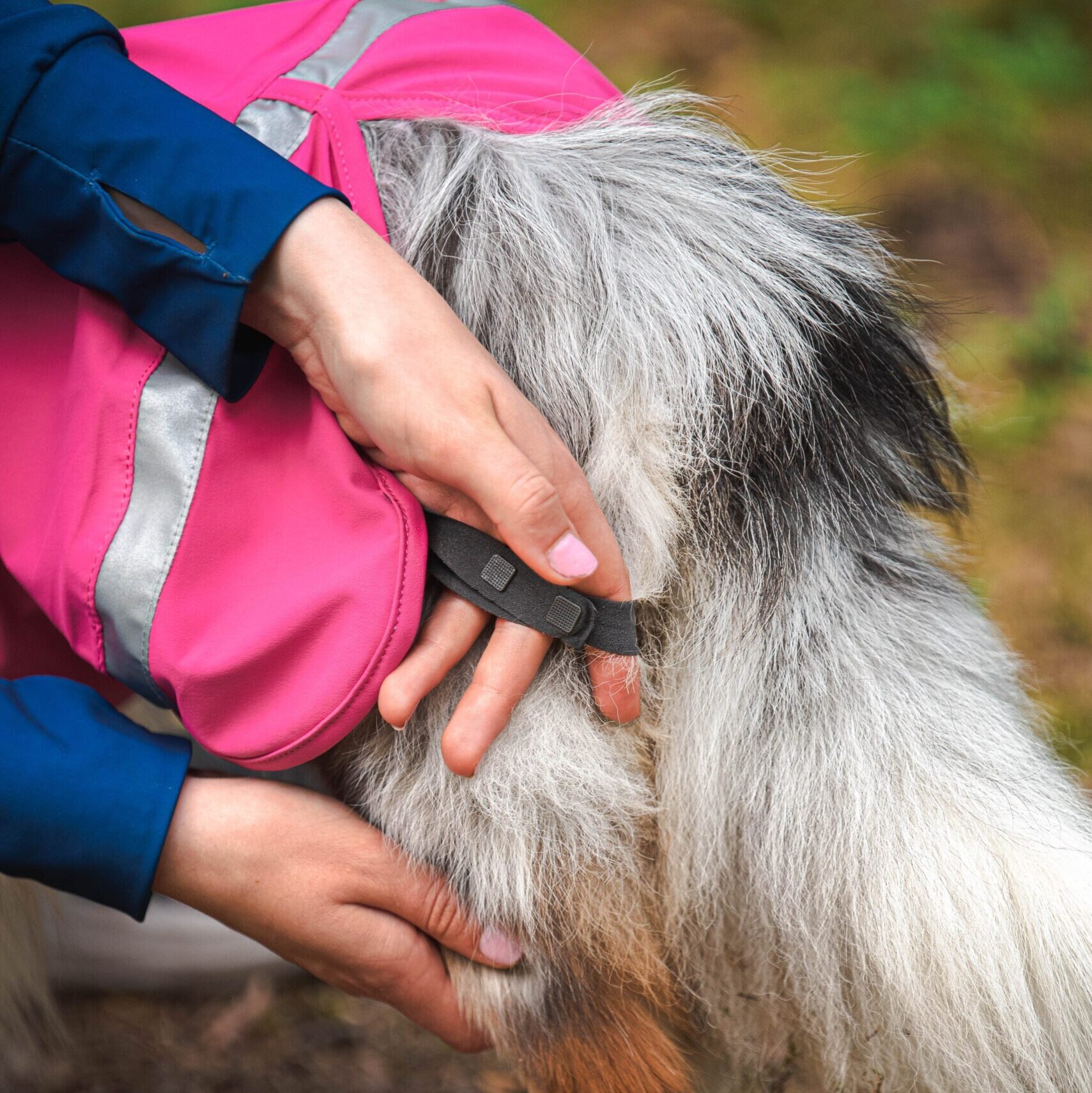 Pomppa Kuori Waterproof Dog Coat