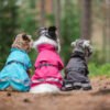 Pomppa Kuori Waterproof Dog Coat