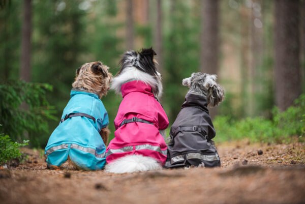Pomppa Kuori Waterproof Dog Coat