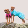 Pomppa Kuori Waterproof Dog Coat