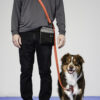 Blue-9 Reflective Multi-function Double End Lead