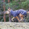 Pomppa Perus Waterproof Dog Coat With Harness Opening
