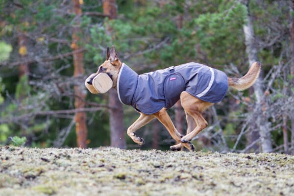 Pomppa Perus Waterproof Dog Coat With Harness Opening