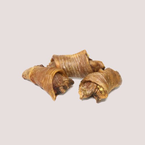 JR Ostrich Croissant