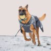 Pomppa Perus Waterproof Dog Coat With Harness Opening