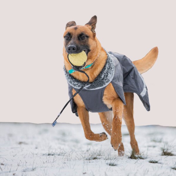 Pomppa Perus Waterproof Dog Coat With Harness Opening