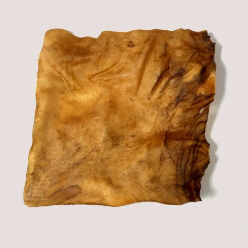 Dried Goat Skin Plate