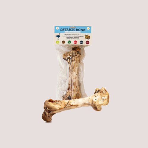 JR Large Ostrich Bone