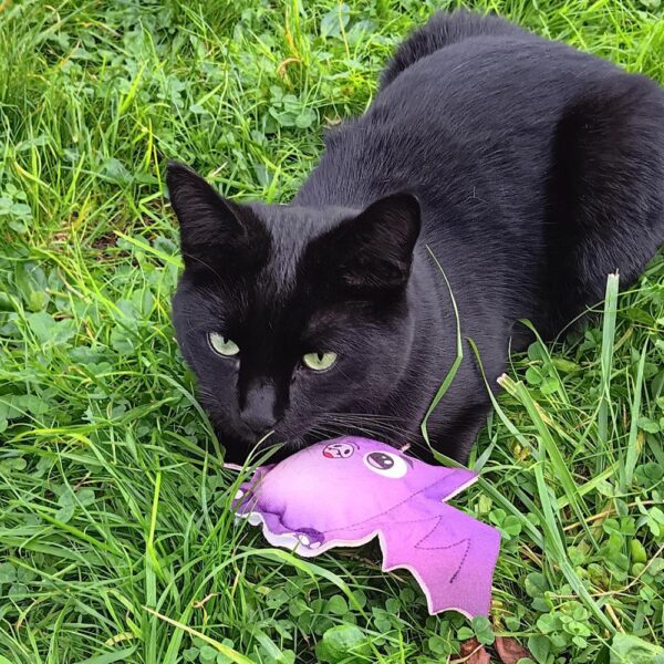 4Cats Catnip Bat Pillow