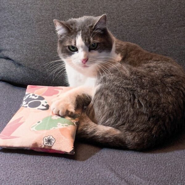 4Cats Catnip Japan Large Cuddle Pillow