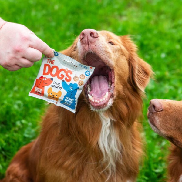 It’s The Dog’s Peanut Butter Balls 45g