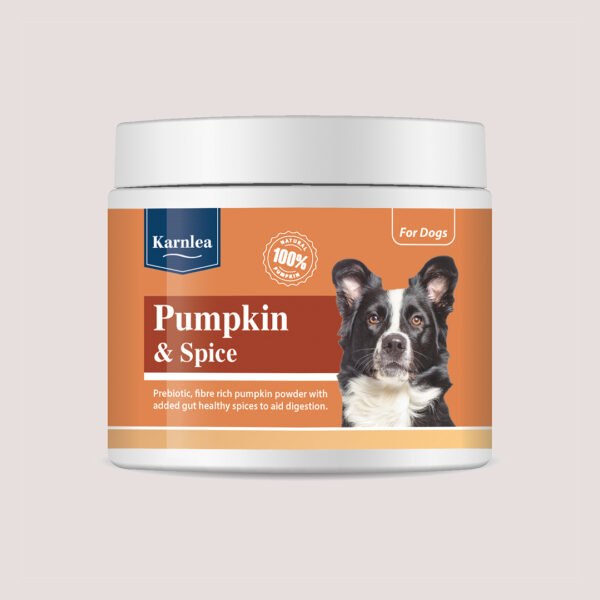 Karnlea Pumpkin & Spice 200g