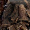 Dried Beef Lung 500g