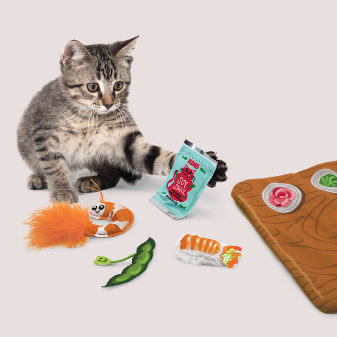 KONG Pull-a-Partz Sushi Cat Toy