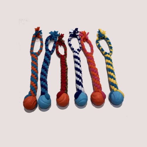Ruff Raggies ChuckIt Tug Small