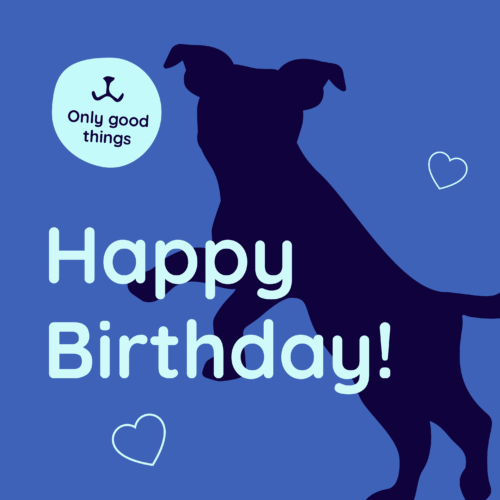 Happy New Year Gift Card