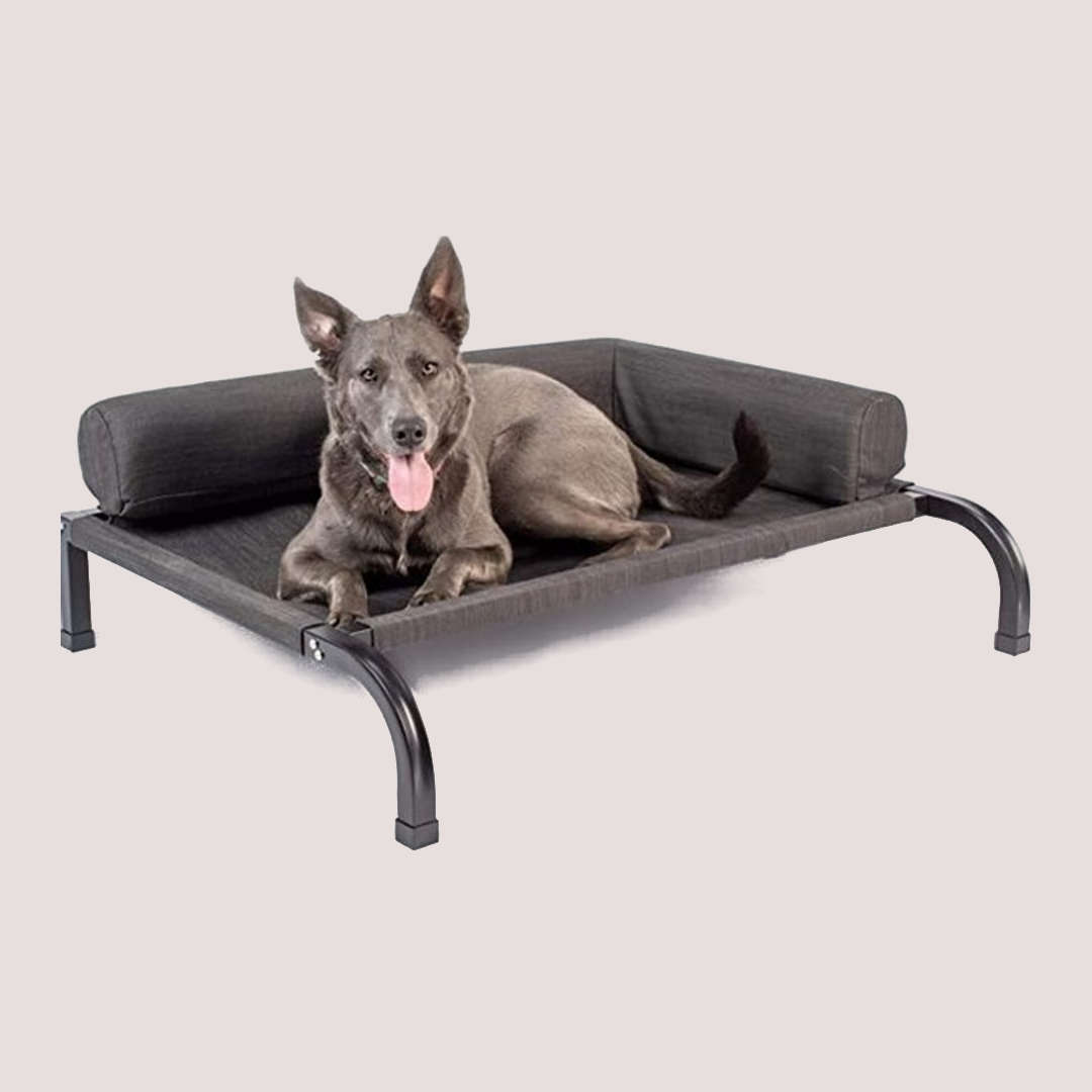 PetFusion Elevated Outdoor Bed