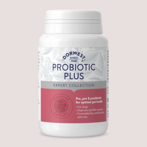 Dorwest Probiotic Plus For Dogs 100 Tablets
